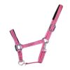 EQUEST Halfter Dual Plus | Chrom Finish EQUEST Halfter Dual Plus | Chrom Finish
