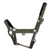 EQUEST Halfter Uno Plus | Chrom Finish | FRESH SHADES