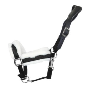 EQUEST Halfter Anatomical Shine | Chrom Finish | Ledergenickstück Black
