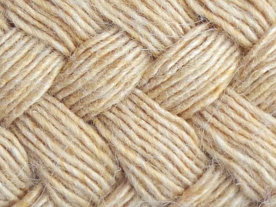EQUEST Führzügel | Soft Touch