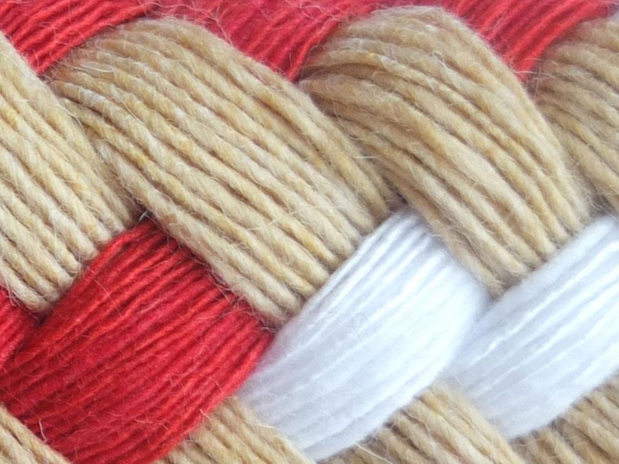 EQUEST Führzügel | Soft Touch