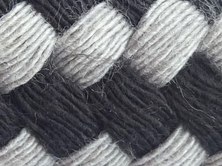 EQUEST Führzügel | Soft Touch