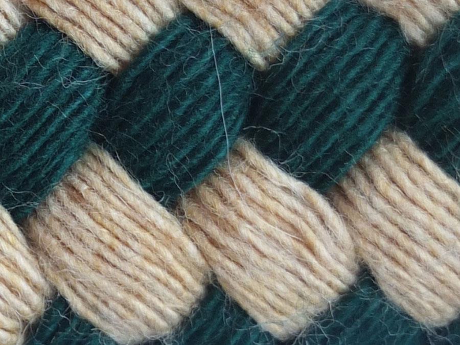 EQUEST Führzügel | Soft Touch