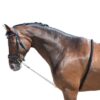 EQUEST Longierhilfe Soft Touch | 2 Ringe EQUEST Longierhilfe Soft Touch | 2 Ringe
