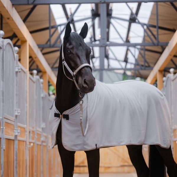EQUEST Decke Alpha Fleece Regular | Delight Collection