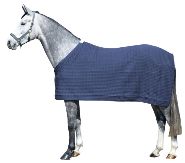 EQUEST Climatherm III | Regular