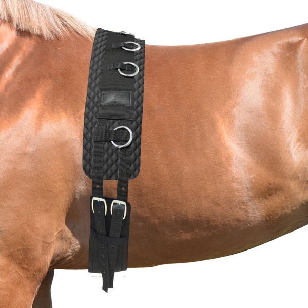 EQUEST Longiergurt Classic