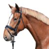 EQUEST Trense Glossy Seams