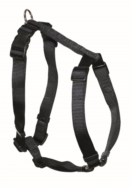 EQUEST Geschirr SoftNylon – 20 mm / 55 – 80 cm