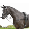 BUSSE Dreieckszügel BASIC-KORDEL Schwarz Pony