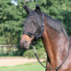 BUSSE Fliegenmaske FLY GUARD PLUS schwarz P