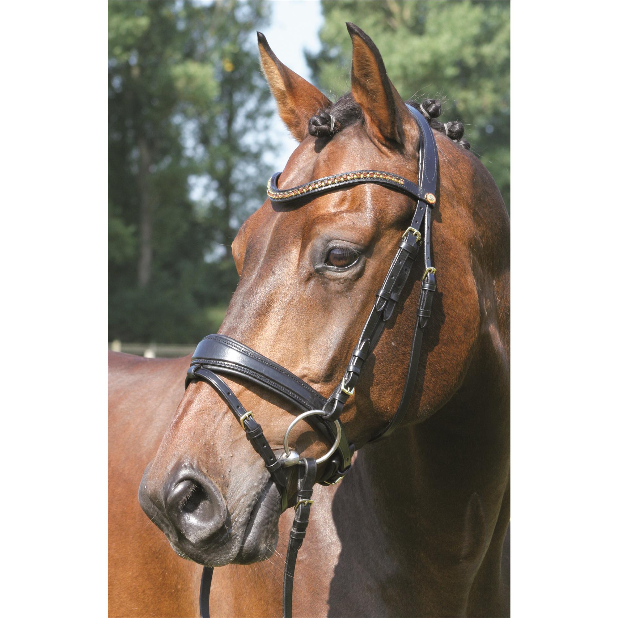 Hans Melzer Trense Hannover schwarz/messing Pony