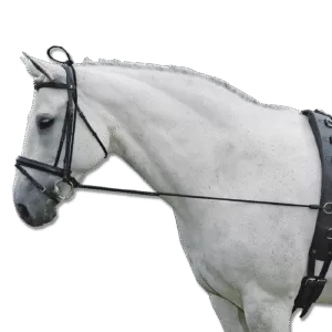 Waldhausen Halsverlängerer Elastic Pony