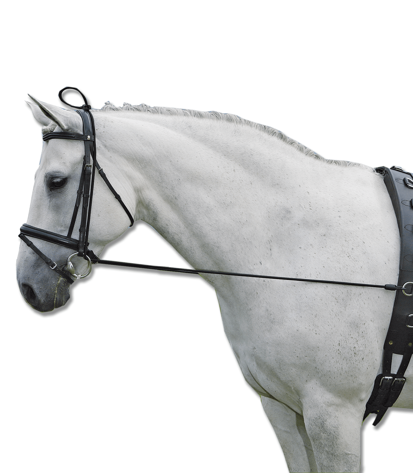 Waldhausen Halsverlängerer Elastic Pony