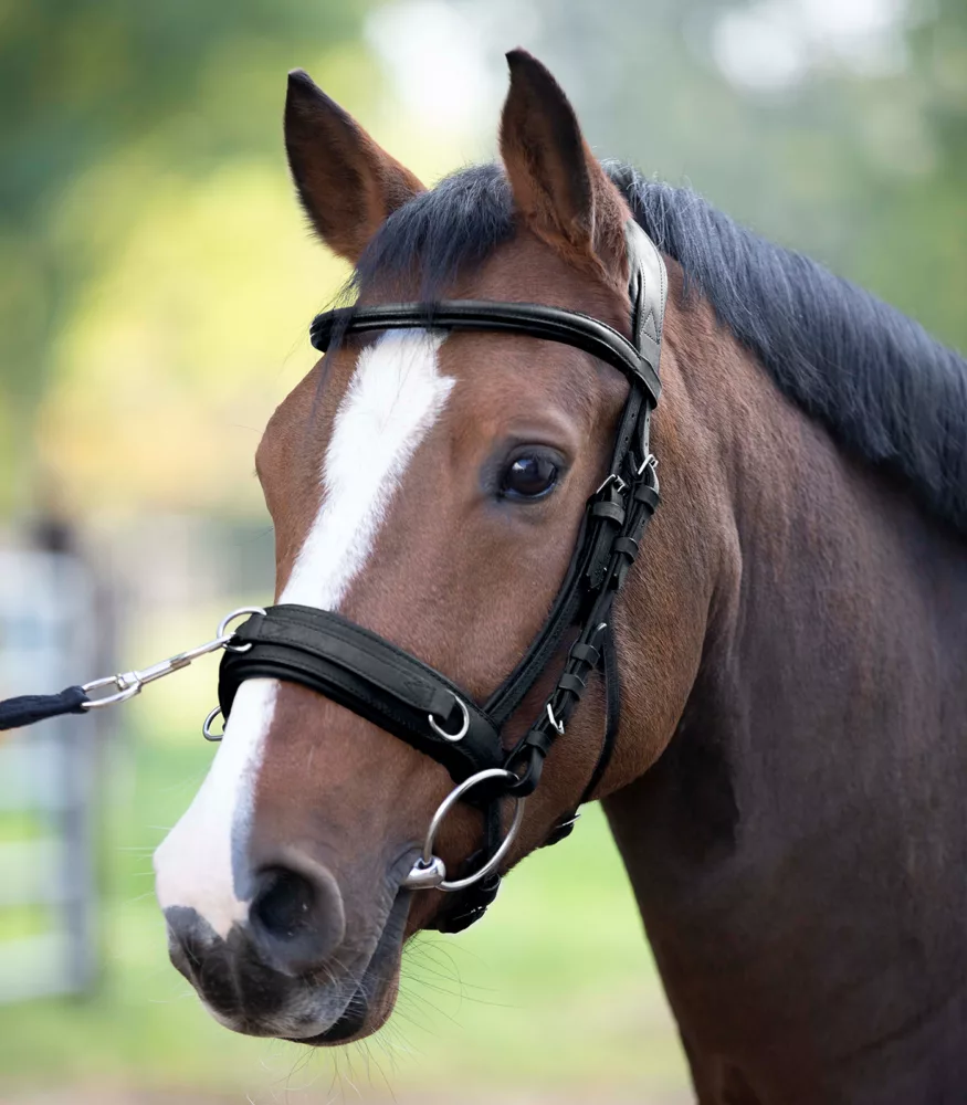 Reitsport-Online.com