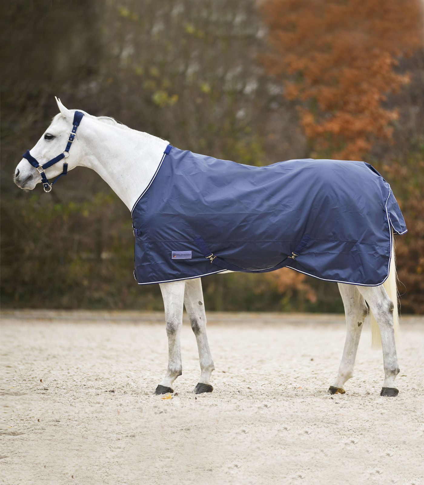 Waldhausen Regendecke Economic 145cm