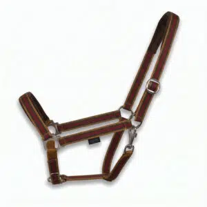 EQuest Halfter Regular Plus braun-rot (W)